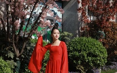 明朝那些事儿价格